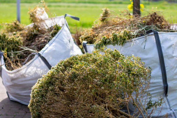 Best Shed Removal  in Towanda, KS